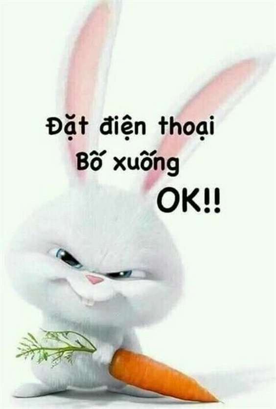 hinh-nen-dep-23 hinh-nen-dep-23