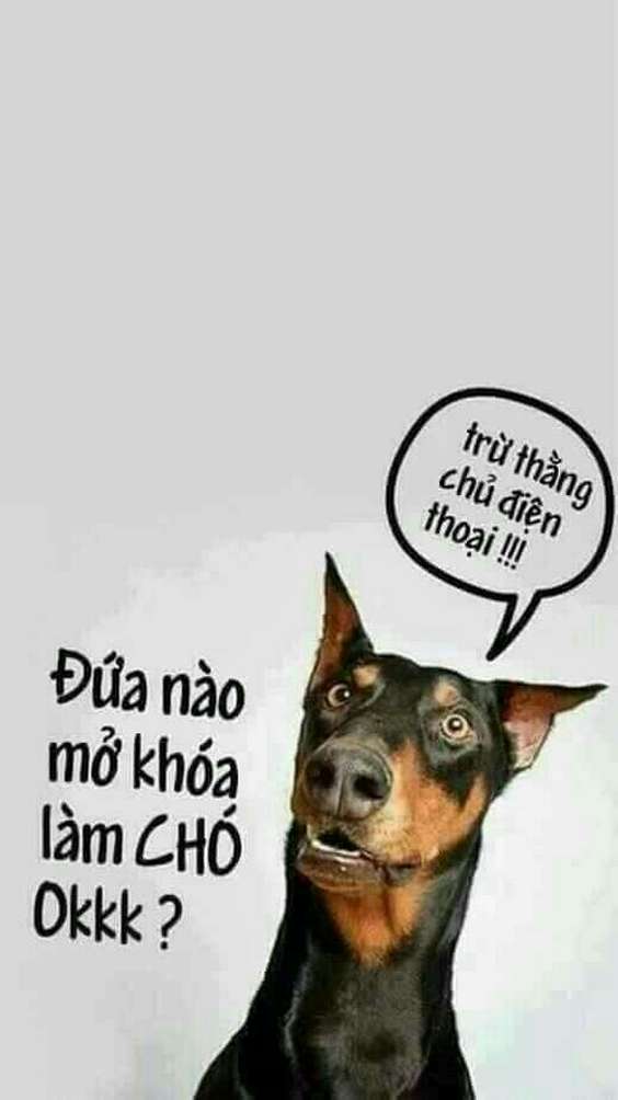 hinh-nen-dien-thoai-dep-16