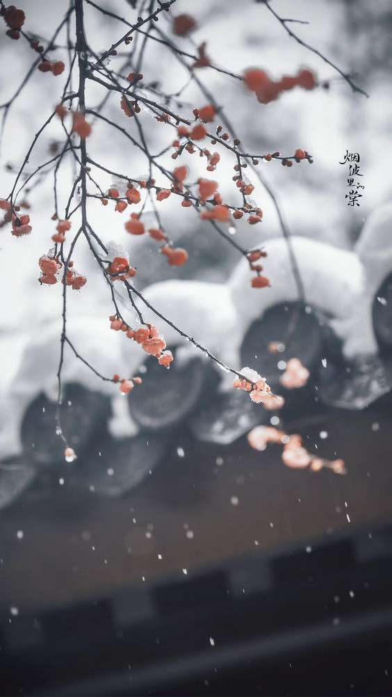 anh-chill-hoa-22 anh-chill-hoa-22
