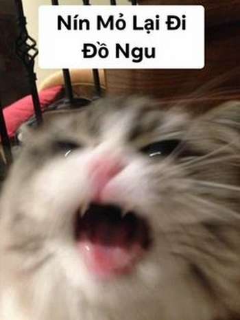 anh-che-bua-24
