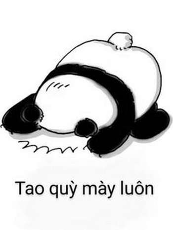 anh-che-bua-53