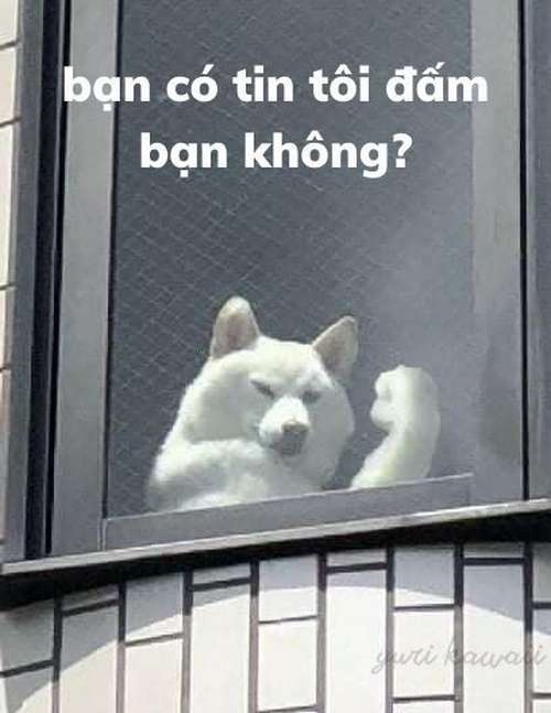anh-che-bua-facebook-3