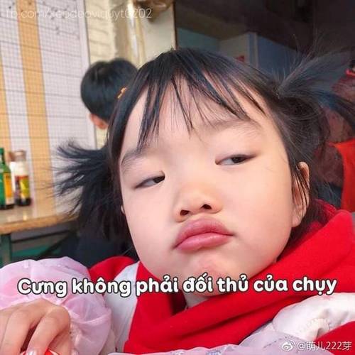 anh-che-hai-2 anh-che-hai-2