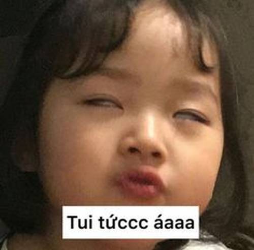 anh-che-hai-6 anh-che-hai-6