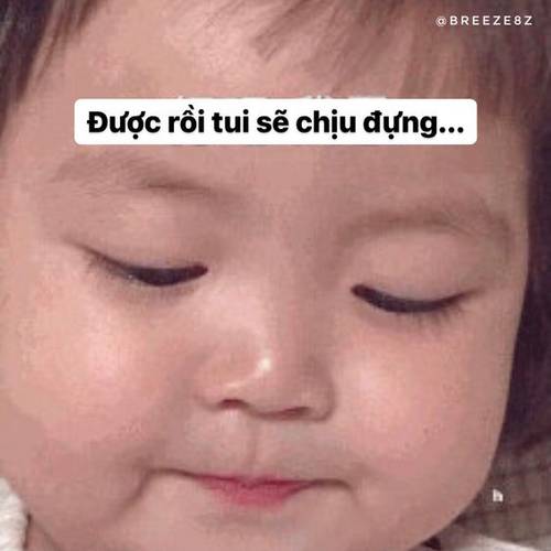 anh-che-hai-7 anh-che-hai-7