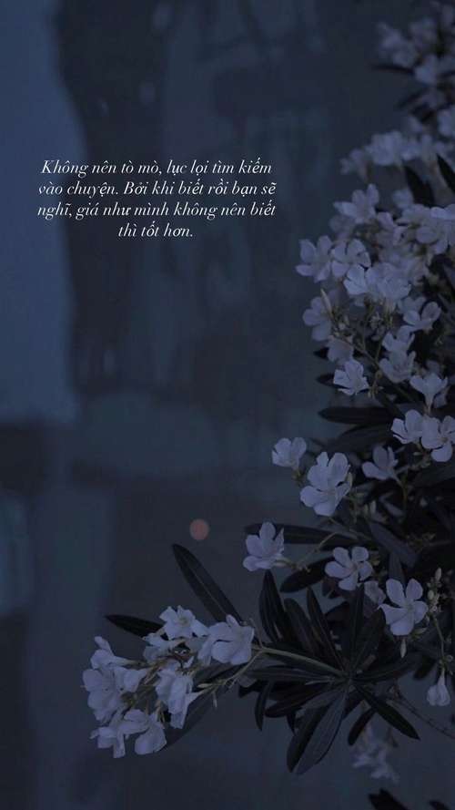 hinh-chill-trang-den-buon-12 hinh-chill-trang-den-buon-12